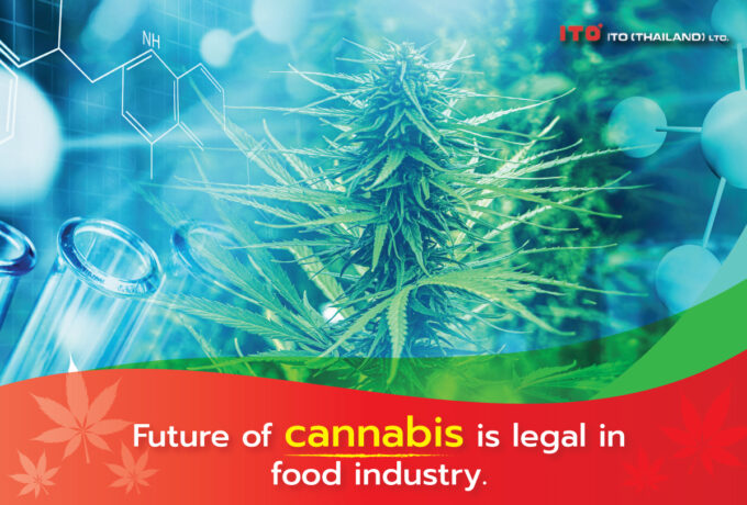 Cannabis