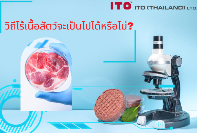 เนื้อเพาะเลี้ยง