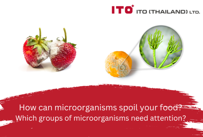 Specific Spoilage Organisms (SSOs) 食品の品質を劣化させる微生物