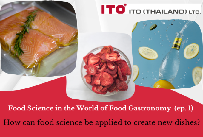 Food Science in the World of Food Gastronomy (Part 1)