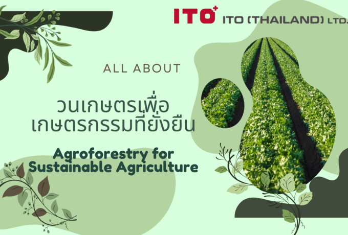 วนเกษตรเพื่อเกษตรกรรมที่ยั่งยืน (Agroforestry for Sustainable Agriculture)