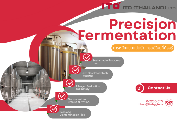 Precision fermentation การหมักแบบแม่นยำ เทรนด์ใหม่ที่ต้องรู้