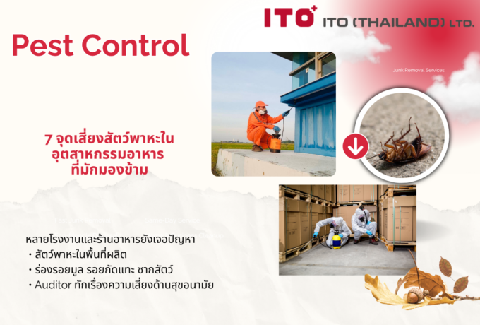 7 จุดเสี่ยงสัตว์พาหะในอุตสาหกรรมอาหารที่มักมองข้าม